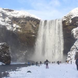 Meet your Posher, Darryl